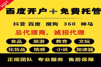 某电商平台的SEM运营实战与效果分析