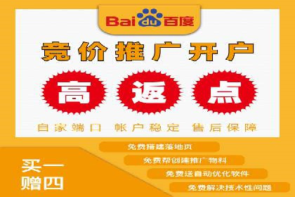 搜索引擎营销（SEM）在电商行业的投放策略案例